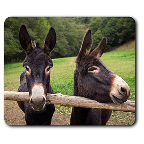 Destination Vinyl Ltd Confortable Tapis de Souris - Mignon âne Cheval Poney 23,5 x 19,6 cm (9,3 x 7,7 Pouces) pour Ordinateur et Portable, Bureau, Cadeaux, Base antidérapante - RM16451
