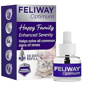 FELIWAY Optimum 30 Day Cat Calming Odourless Refill for Pheromone Diffuser, 48ml – Helps Solve Signs of Stress in Cats & Kittens, Veterinary Recommended, Drug-free, Clinically Proven