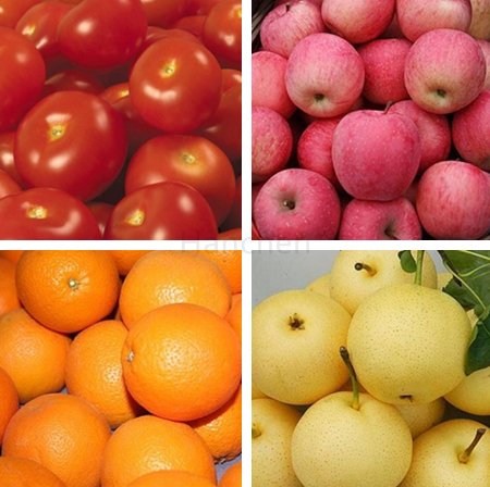 Amazon | Hanchen リンゴカッター 6等分 果物カッター リンゴ芯