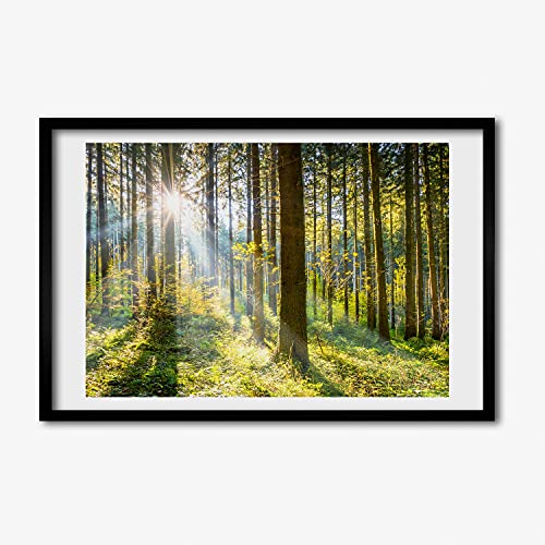Peinture photo Foret Au Soleil avec cadre MDF 60x40 cm et affiche tableau bois