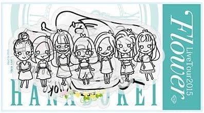 Amazon Co Jp E Girls Flower Live Tour 15 花時計 ステッカー９枚セット ホビー 通販