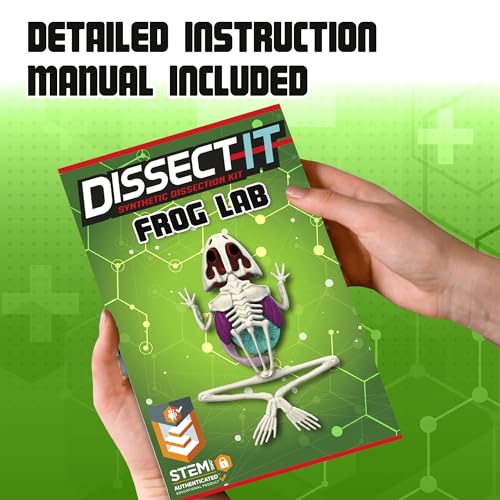 Image of Dissect-It, Standard Frog Dissection Kit, STEM Toys for Kids, Ages 6+ | Animal Anatomy Learning, Explore realistic frog organs and a complete skeleton while building biology and STEM skills.