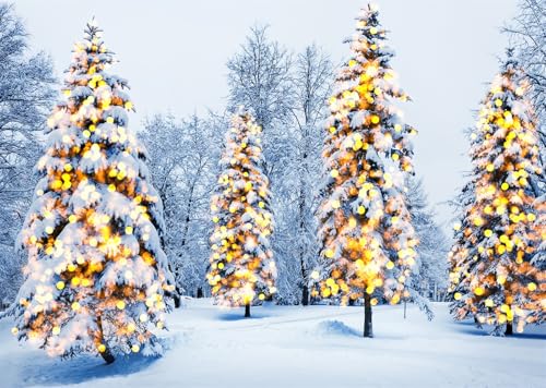 Fond de studio pins enneigés 4.6x2.5m pour décor Noël