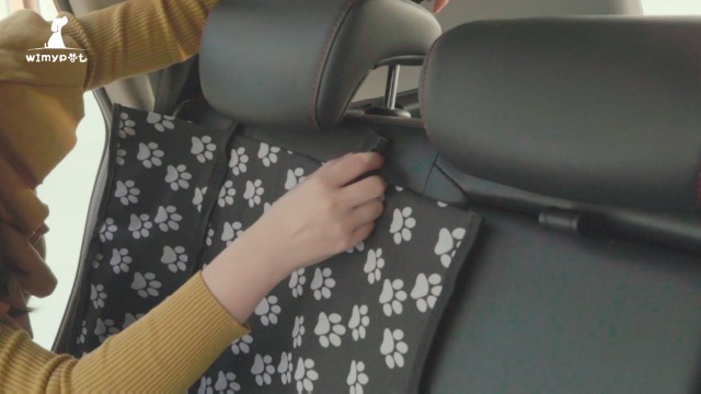 Protection De Voiture Pour Chien : Tests, Avis Et Comparatif En Janvier 2024