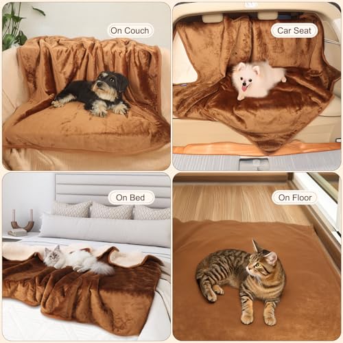 CareCooo wasserdichte Hundedecke Klein - 60x90cm Hundedecke Wasserdicht Waschbar, Flauschige Haustierdecke für Sofa und Katzendecke, Gold