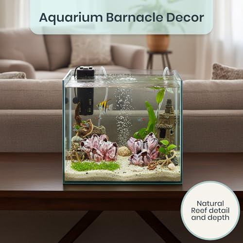 Image of Nautical Crush Trading Real Purple Barnacle Clusters (2 Pack 3-5in) for Saltwater Aquarium Decor, Natural Fish Tank Ornament, Coastal Home Decoration
