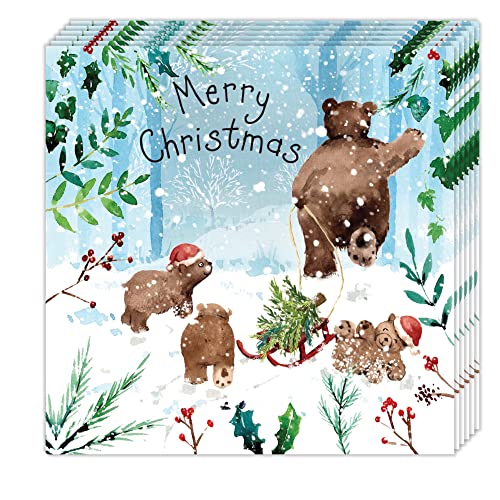 Cartes de Noël ours mignons en lot de 12 cartes d'accompagnement pour cadeaux de fin d'année