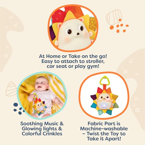 B. Toys BX2269Z B. Baby – Baby Musical Light-Up Hedgehog Toy thumb #1