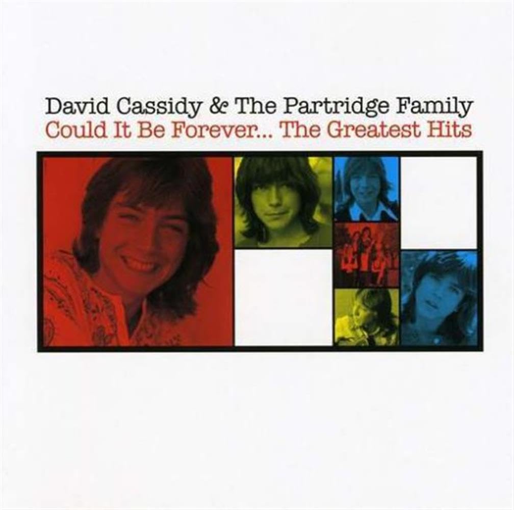 Could It Be Forever - The Greatest Hits
