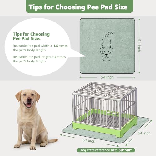Image of LOOBANI 2 Packs Extra Large Reusable Pee Pads for Dogs, 54x54in Waterproof Washable Dog Mat, Non-Slip and Leakproof Whelping Pad for Potty Training, Playpen, Crate,Floor and Bed