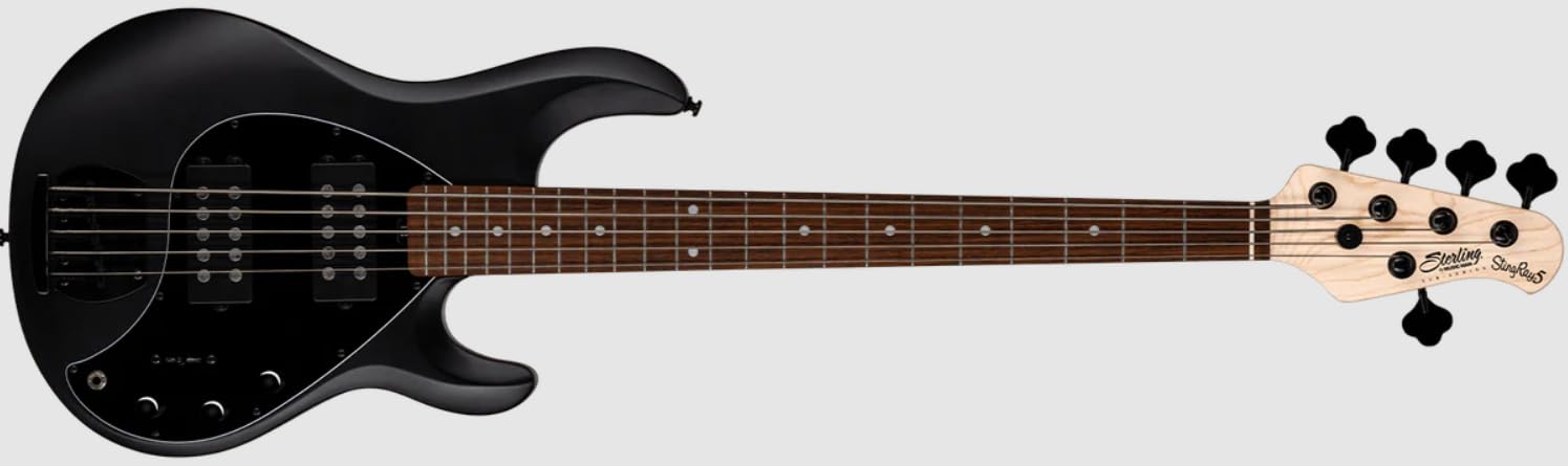 Amazon.com: Sterling By Music Man StingRay RAY5HH Bass Guitar