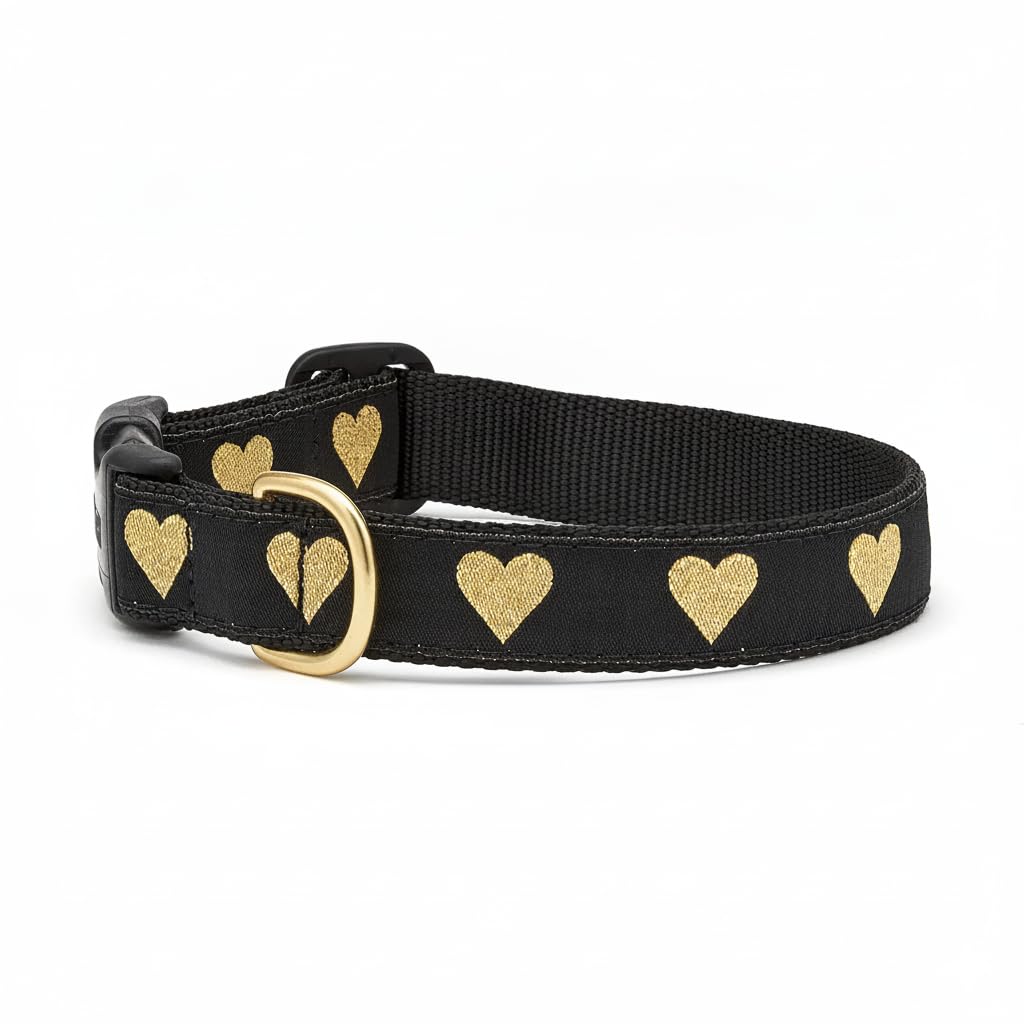 Collier pour chien Up Country Heart of Gold taille M en nylon ajustable