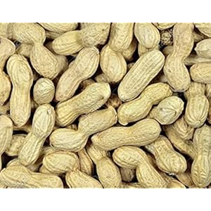 Maltbys’ Stores 1904 Limited Peanuts in Shells 5kg Premium Safe Wild Bird Food Monkey Nuts Afflotoxin Free