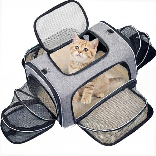 Borsa da Trasporto per Gatti - Trasportino Rigido Omologato IATA per Gatti a 4 Lati - Borsa da Viaggio per Gatti Espandibile per Viaggi in Aereo