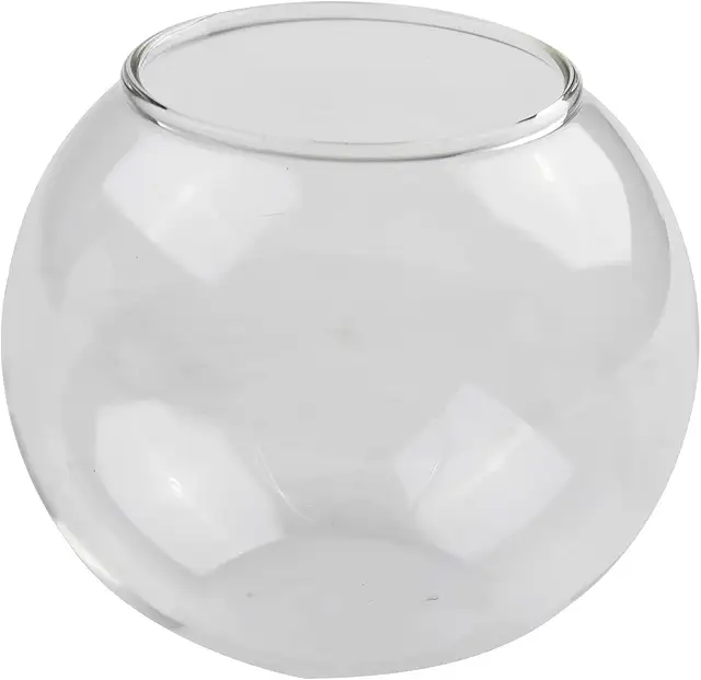 Terrario in vetro borosilicato trasparente per piante grasse, 8-15 cm