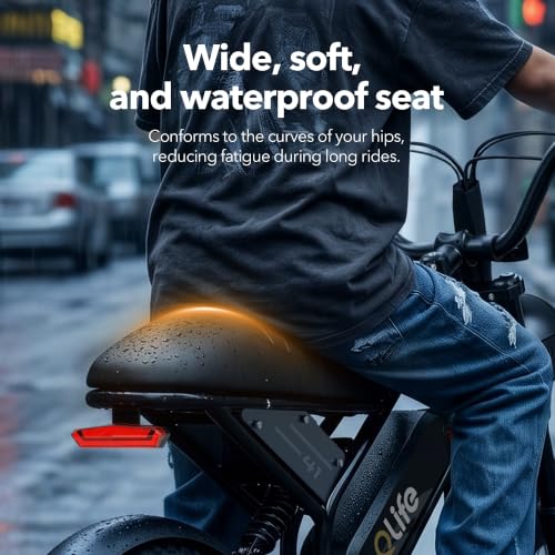 Qlife Spark D1 Mini E-Bike