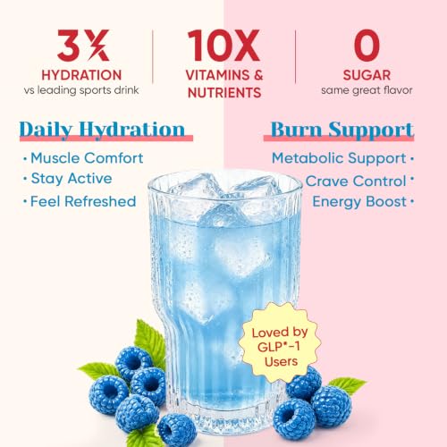 Image of Venture Pal Sugar Free Hydration Packets + Burn Support Electrolytes Powder