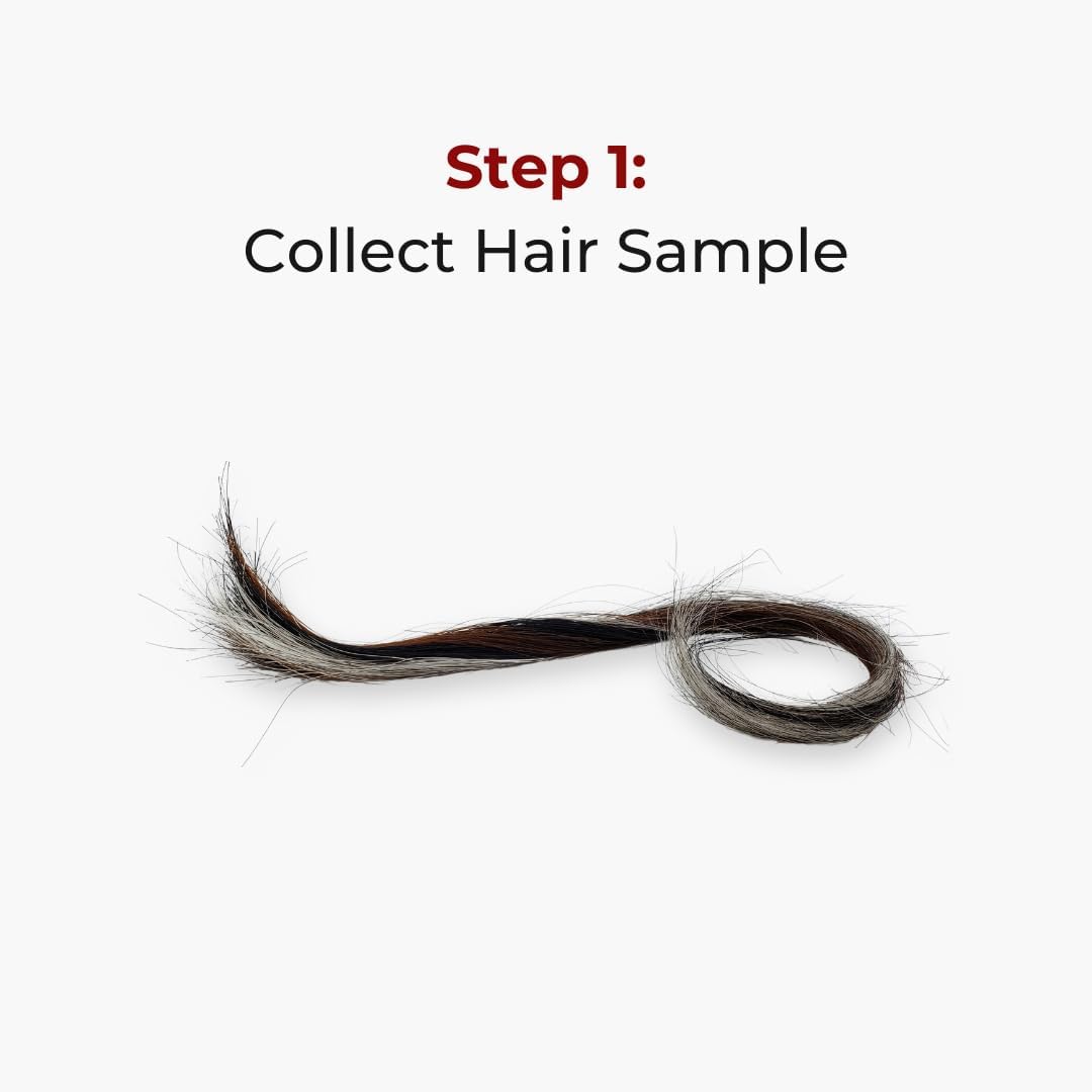 Etalon Equine Genetics Pro Package + Ancestry Horse DNA Test, Genetic Testing Plus Ancestry (70+ Traits) - Identify Equine Breed Composition & DNA - Test for Coat Color, Diseases, Abilities