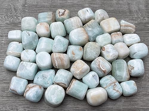 Image of GAF TREASURES 1 /2 LB Caribbean Calcite Tumbled Stones, Polished Natural Caribbean Calcite Gemstone, Caribbean Calcite Healing Crystals (Caribbean Calcite)