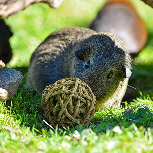 10 Pcs Small Animals Play Balls Rolling Activity Chew Toys Gnawing Treats For Rabbits Guinea Pigs Chinchilla Bunny Natural Balls, Pet Cage Entertainment Accessories(10Pcs) #TOP5