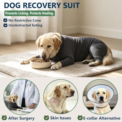 Image of kzrfojy Dog Recovery Suit for Dogs After Surgery Female Male Medium Large Dog Neuter Spay Onesie for Shedding Prevent Licking Surgical Wound Dog Cone Alternative Grey