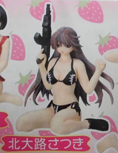 SR いちご100% Part2 北大路さつき 単品
