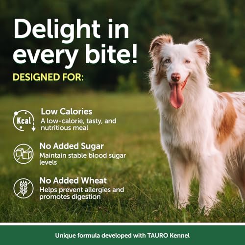 Nature’s Protection Superior Care Hundenassfutter mit Thunfisch - Hundefutter ohne Getreide & hypoallergen - Für weiße Erwachsene Hunde - Haut & Fellpflege - Reduziert Tränenflecken (24 x 70g)