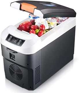 GG-home Réfrigérateur Portable avec Mini réfrigérateur réfrigérant à insuline 10ltr Noir - verrouillable - Mini-Plateau de Table de Course Silencieux