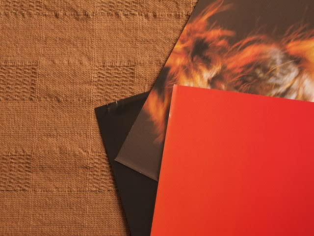 Amazon.co.jp: DVD 中森明菜 Akina Nakamori 2001 20th Anniversary