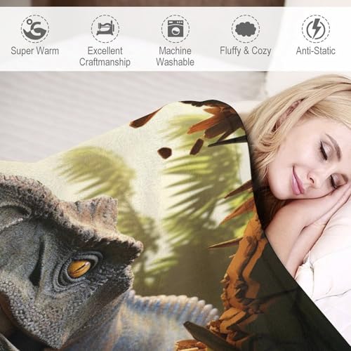 Couverture plaid dinosaure très doux, cadeau enfant idéal