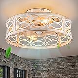 HUEOCZW 20' Caged Ceiling Fan With Light, bladeless 6 Speed Reversible With 5 Bulbs and Remote Control.Low Profile Ceiling Fan With Lights for Bedroom, Dining Room