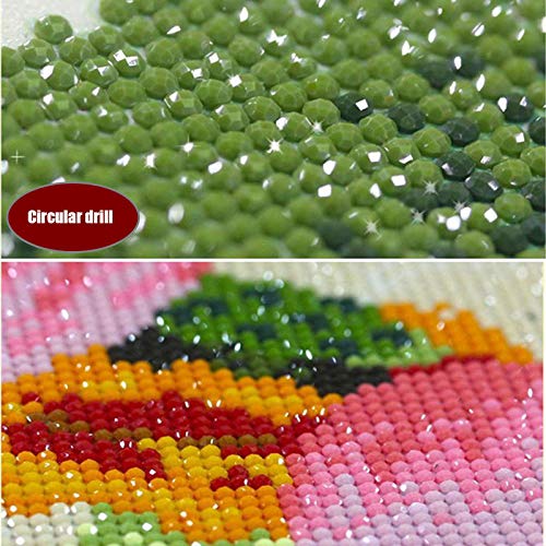 5D Diamond Painting Kit Completo 2 Pezzi, Gifts Diamond Painting Diamantini Crystal Art, DIY