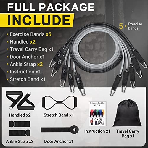 Resistance Bands, Resistance Band Set, Workout Bands, Exercise Bands for Men and Women, Exercise Bands with Door Anchor, Handles, Legs Ankle Straps for Muscle Training, Physical Therapy, Shape Body