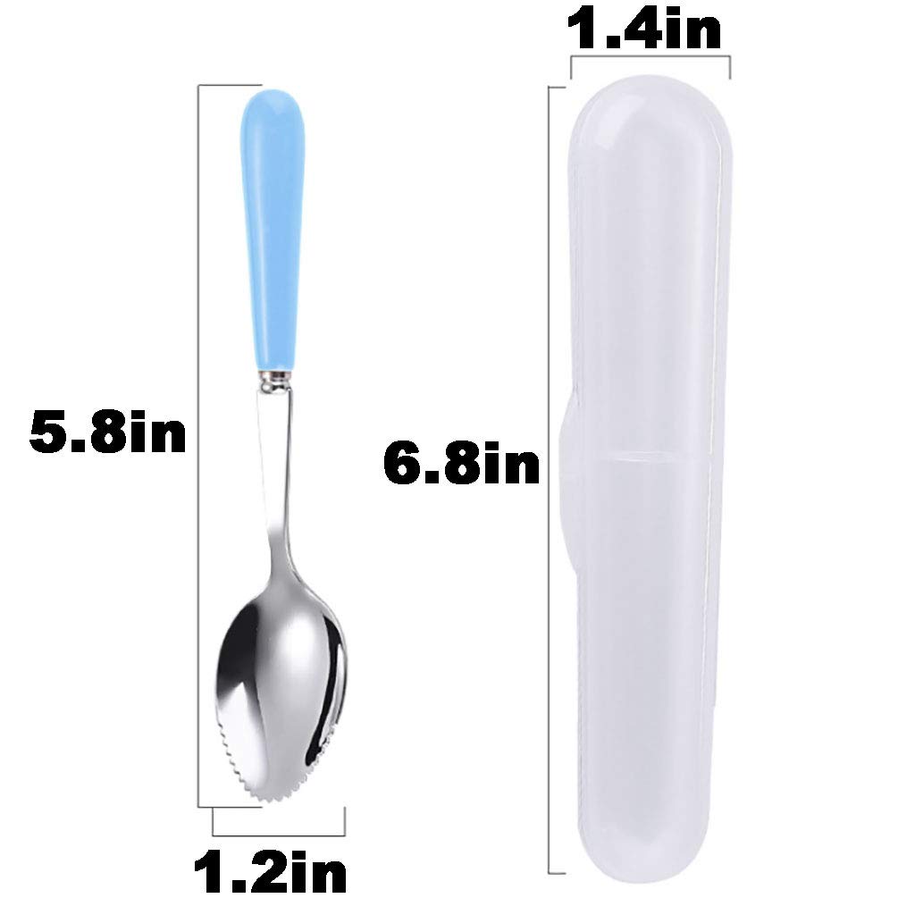 Cuillère à Pamplemousse Inox - Bord Dentelé, Poignée Ergonomique, Pour Fruits Et Desserts - 10