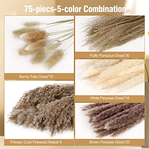 NT-NETING-75Pcs-Pampas-Grass-Decor-10Pcs-White-Pampas-Grass-20Pcs-Brown-Pampas-Grass-10Pcs-Bunny-Tail-30Pcs-Reed5Pcs-Fluffy-Dried-Pompas-Grass-Flower-for-Spring-Home-Wedding-Table-Vase-Boho-Decor - Urban Country Home Decor NT-NETING-75Pcs-Pampas-Grass-Decor-10Pcs-White-Pampas-Grass-20Pcs-Brown-Pampas-Grass-10Pcs-Bunny-Tail-30Pcs-Reed5Pcs-Fluffy-Dried-Pompas-Grass-Flower-for-Spring-Home-Wedding-Table-Vase-Boho-Decor