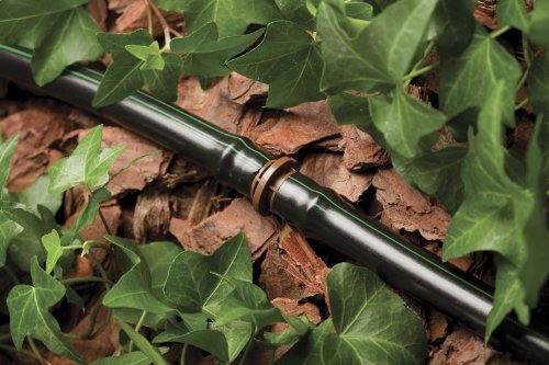 Rain Bird T63-050 Drip Irrigation 1/2