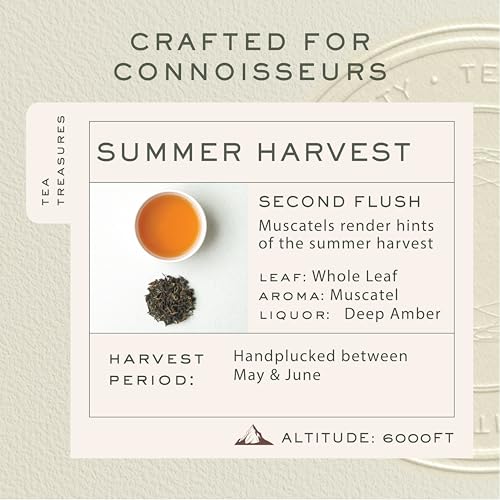 Image of Tea Treasure Makaibari Summer Solistice Mascatle | 100 gm Tin caddy | Second Flush Black Tea | Whole Loose tea | Black tea | Organic Certified