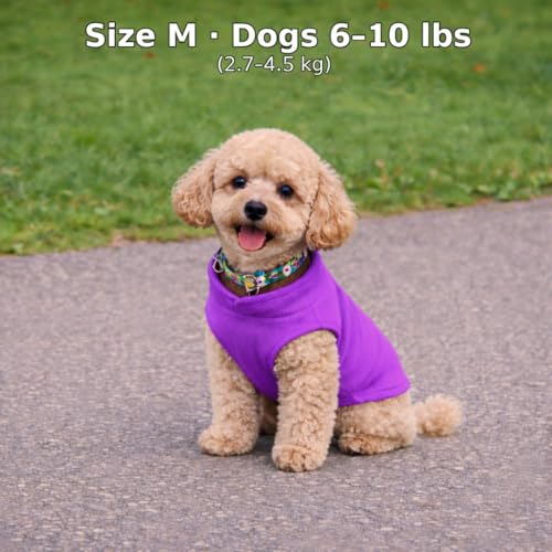 Image of JACKO & CO - Fleece Vest Dog Sweater with Leash Ring - Soft, Warm & Lightweight Pullover Coat for Small & Medium Dogs, Puppies & Cats - Cozy Fall /Winter /Spring Pet Jacket (Purple, Medium 6-10lbs)