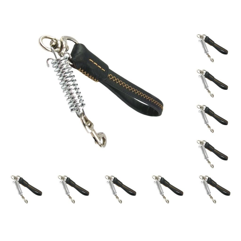 Juego de 10 correas para perro, suministros para mascotas, accesorios exquisitos para exteriores, estructura firme de alta resistencia, ajustable, gancho profesional para cinturón