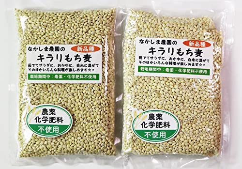 2袋セット なかしま農園のキラリもち麦 熊本産 無農薬 無化学肥料 食物繊維 ゴボウの2倍以上 国産 小分けで使いやすい(300g x 2袋セット)