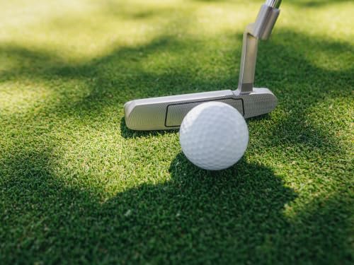Image of Cobra Golf Classic Putter