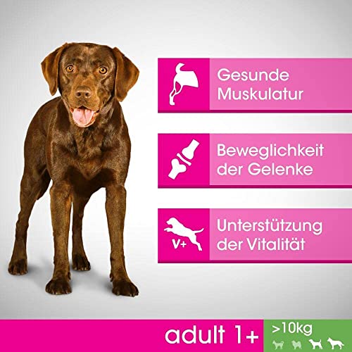 Perfect fit Dog Adult Huhn, 1400 g
