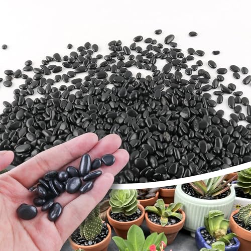 Image of CJGQ 2.4lb 1 /4 inch Small Pebbles Black for Plants,Potting,Succulents Aquarium Fish Tank Vases Decorative Garden Polished Gravel Rocks Stones