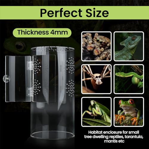 Smartang 12*6*6IN REPTILE ENCLOSURE TALL Front Opening Terrarium Jumping Spider Enclosure,12"*6"*6"Tall Arboreal Tarantula Enclosure Terrarium thumb #1