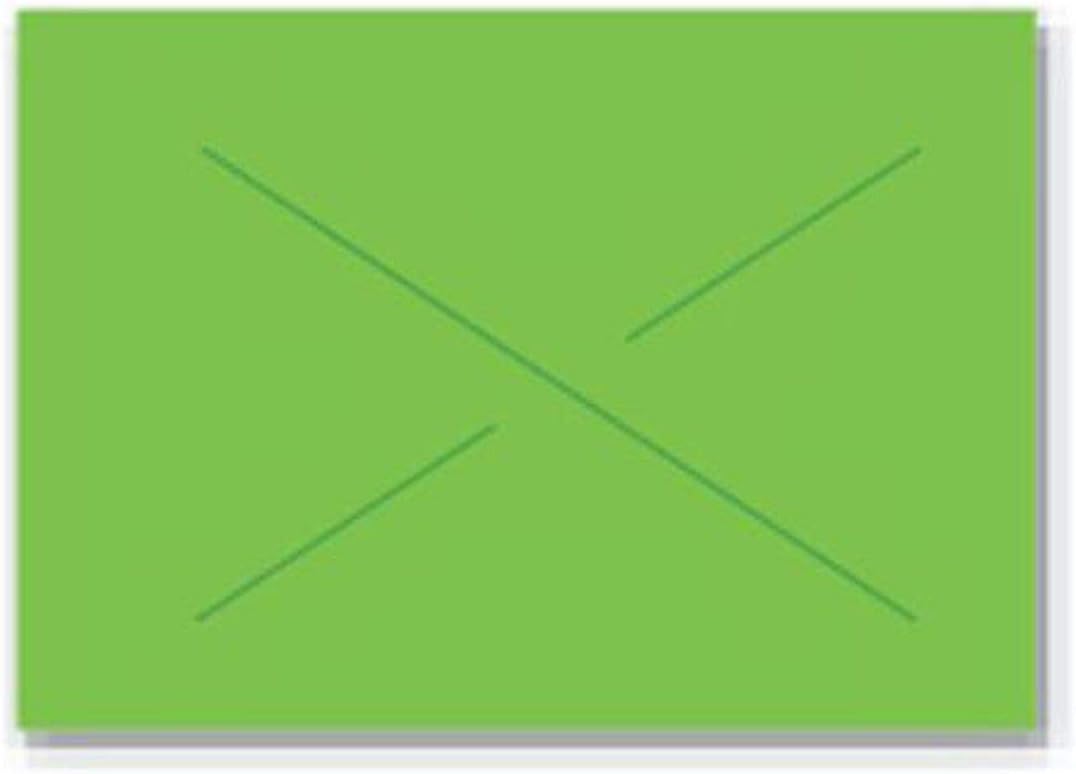 Garvey Green Fluorescent Labels for Garvey 22-66 Price Gun - 22mm L x 16mm H, 9 Sleeves