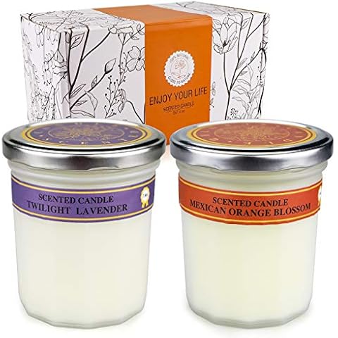 HYH Scented Candles Gift Set for Women, 2Pcs 7.4oz Aromatherapy Candles for Home Scented Soy Wax Travel Tin Candles on Birthday, Valentine's Day, Mother's Day Cover