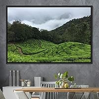 Framed Canvas Wall Art Greenlands Aerial Dark Farmhouse/Country Green Nature Photography Realism Relax/Calm - 16x24 inches