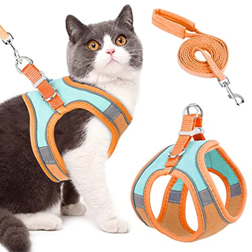 Harnesses For Cats