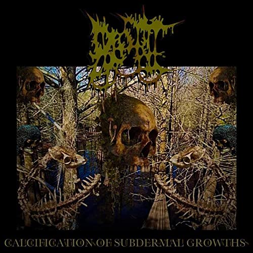 Play Calcification of Subdermal Growths by Blot on Amazon Music