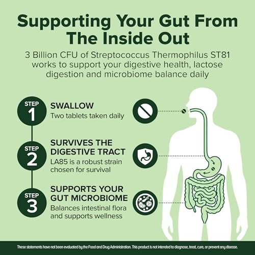 Image of Streptococcus Thermophilus Probiotic 240 Tablets (4 Month Supply) - Researched Strain ST81 - 3 Billion CFU - Digestive Health & Lactose Support - GMP Certified (240, Streptococcus Thermophilus)